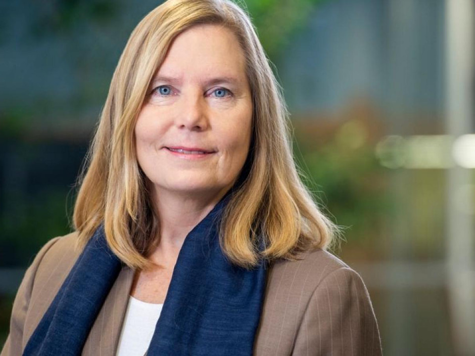 Venäjän sota lisää kotimaisen aines- ja energiapuun käyttöä - EU:n metsäalaa koskevat ehdotukset lisäävät epävarmuutta