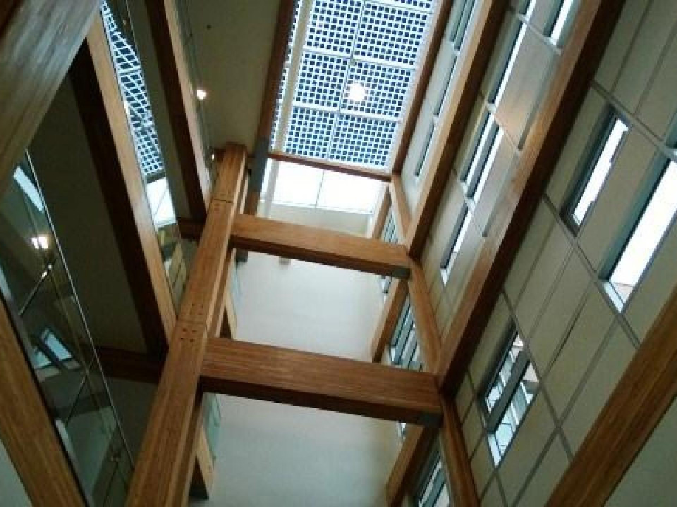 Kanadassa vahva teollisuuden ja valtion yhteistyö puun käytön edistämisessä