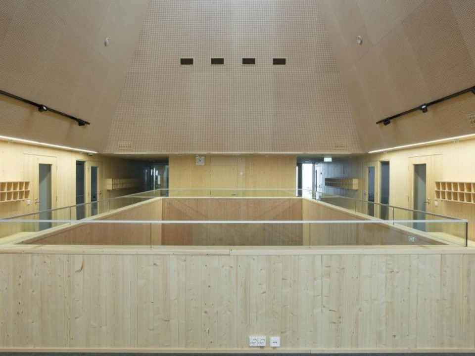 Kuva 7: ”Puussa on tulevaisuus”