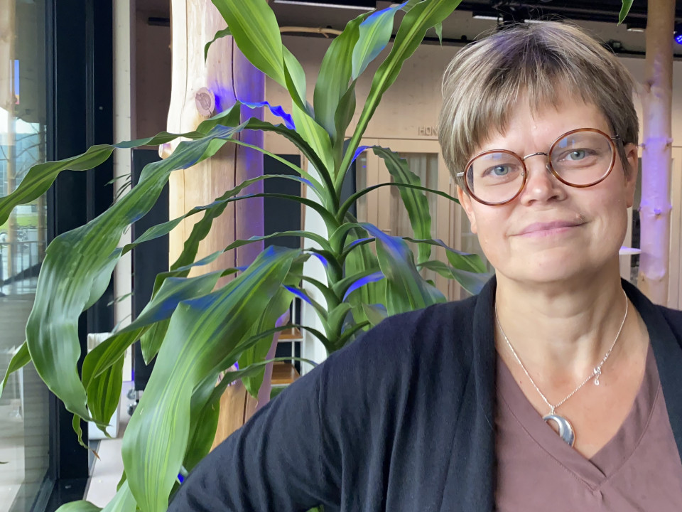 Metsissä panostettava monipuoliseen tulevaisuustutkimukseen