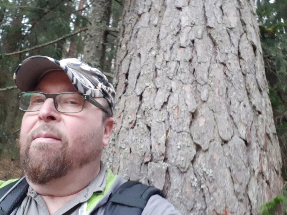 Eduskunnan enemmistö kannattaa nykyistä metsätaloutta