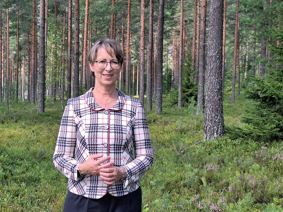 EU:n uudelle metsätiedon keruulle ei tarvetta – pakkausasetus suosii fossiilisten käyttöä