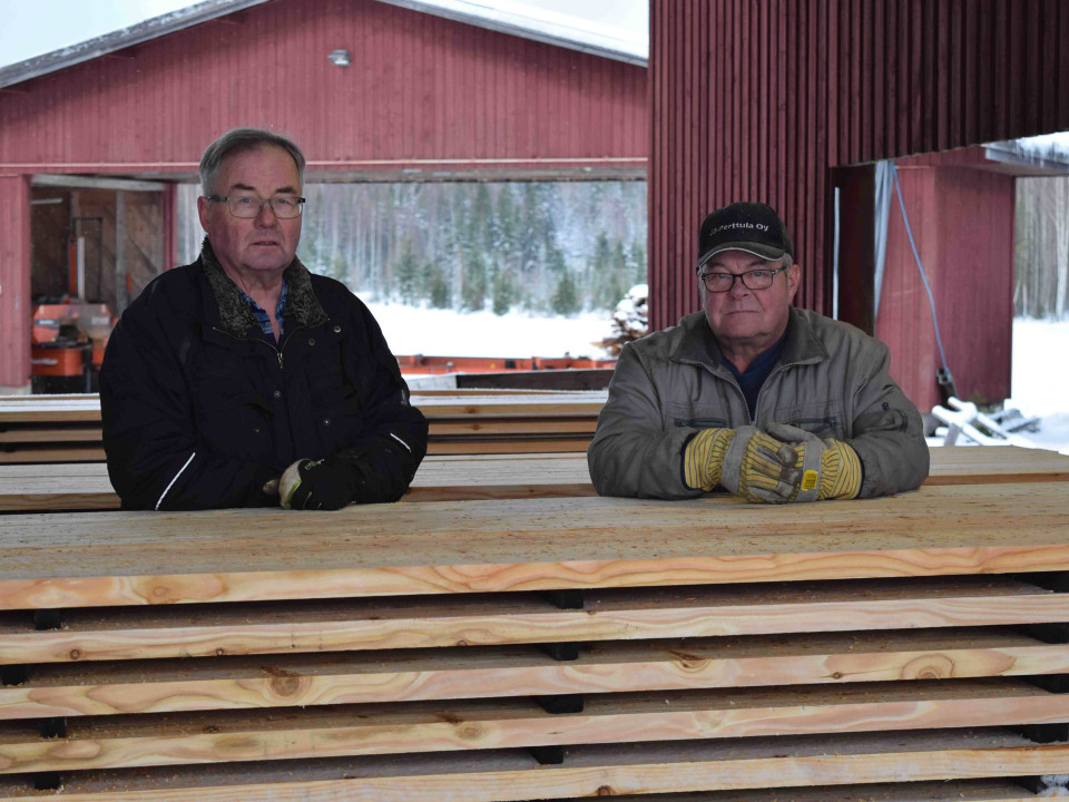 Lahonkestävän lehtikuusen kysyntä ylittää tarjonnan